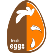 Fresh eggs